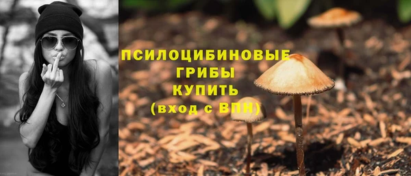 ПСИЛОЦИБИНОВЫЕ ГРИБЫ Армянск