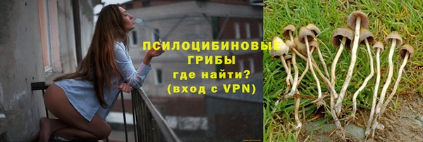 ПСИЛОЦИБИНОВЫЕ ГРИБЫ Армянск