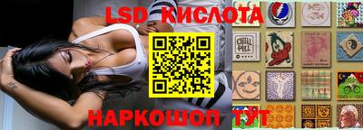 прущие грибы Славгород