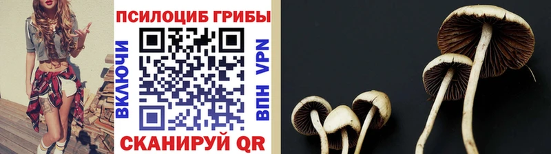Галлюциногенные грибы ЛСД  Пенза 