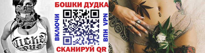Бошки Шишки гибрид  Пенза 